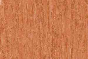 Линолеум Tarkett iq Optima Red Orange 0258 фото  | FLOORDEALER